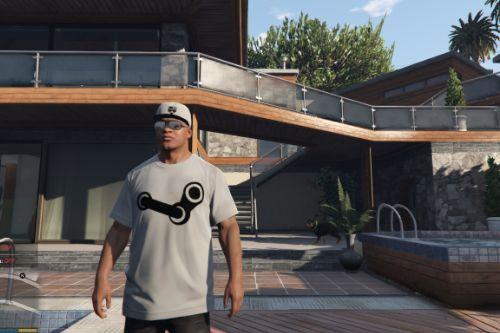 Steam Logo T-Shirt for Franklin [Replaced]